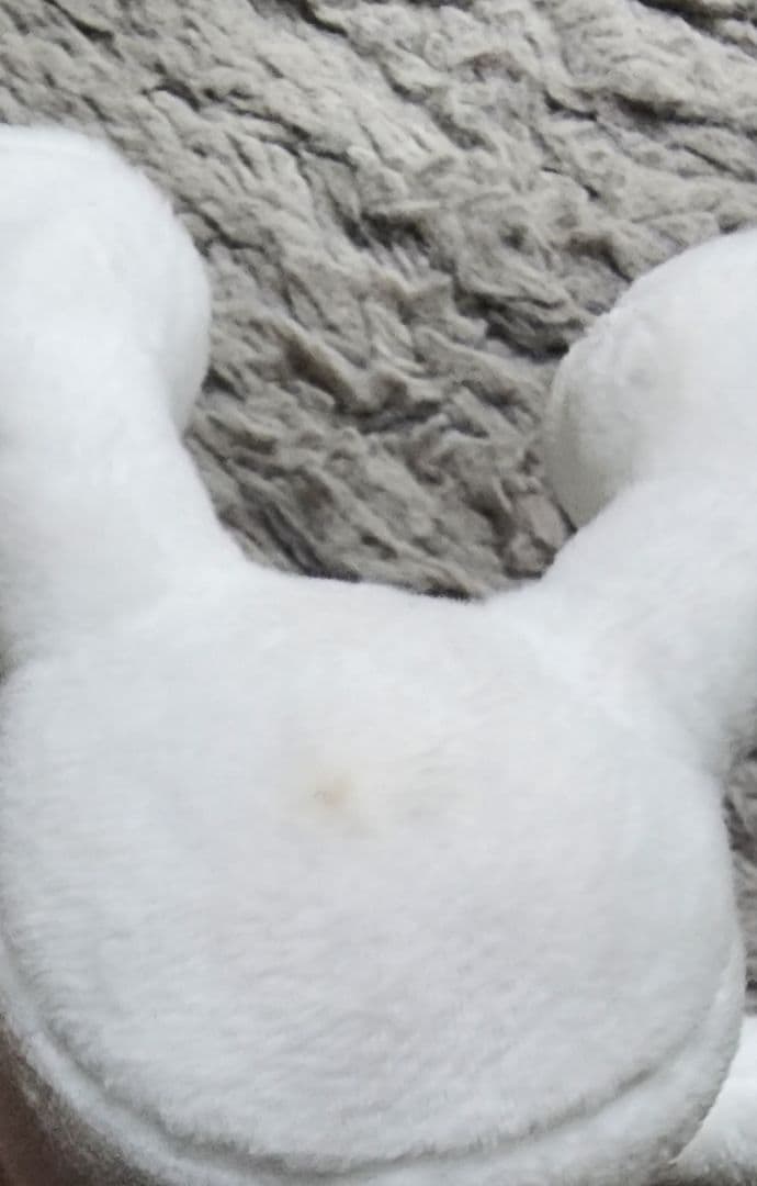 早見沙織 (早)ぬい 10th ゴールドver