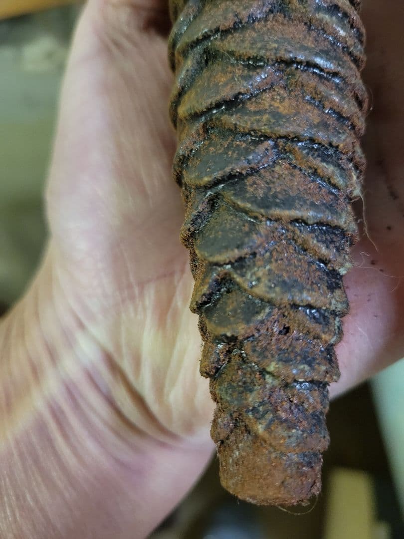 y*o様 希少　ヴィンテージ　ミケン　鳩時計　①　稼働品