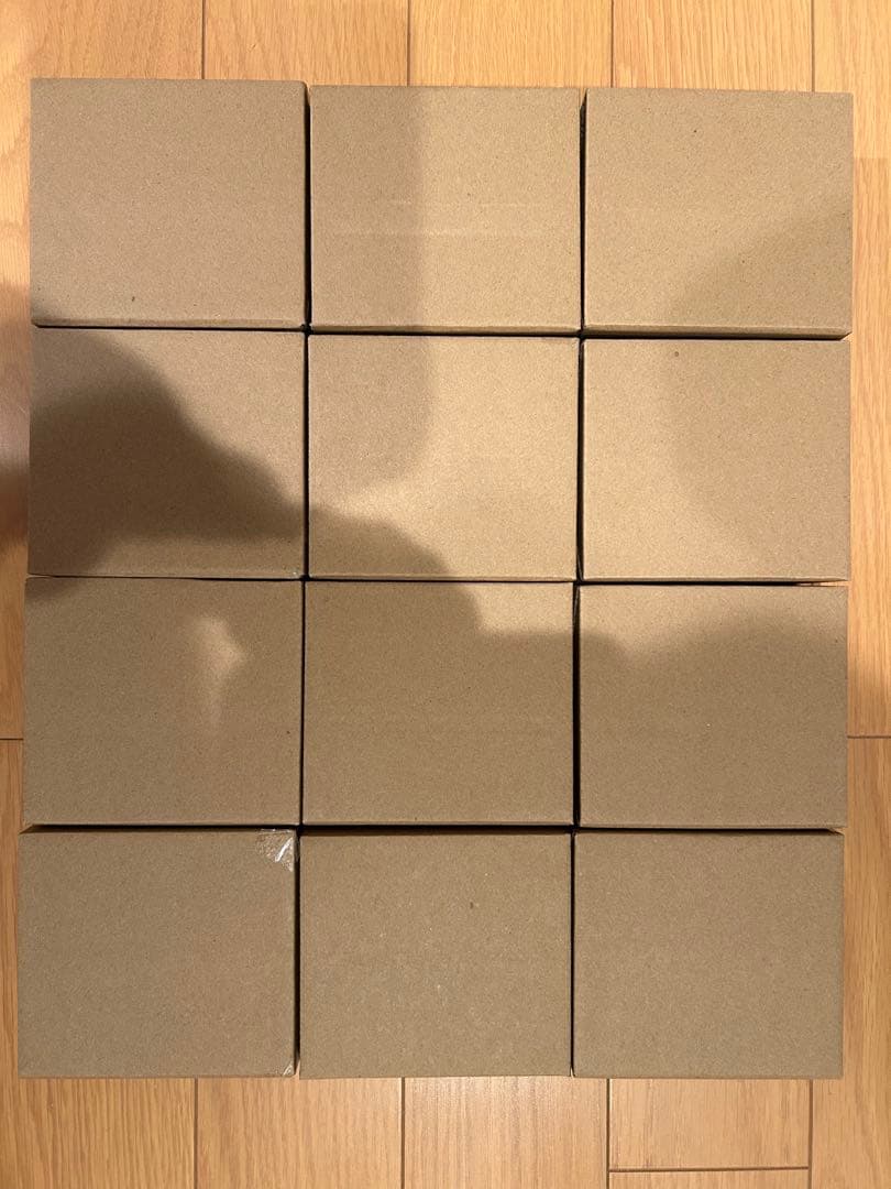 ワンピース　ワーコレ　モンキー・D・ルフィ　なにかあった未来　応募者全員サービス