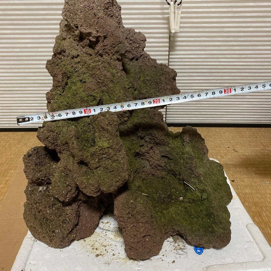 【美形】軽石　岩石　水槽　装飾 アクアリウム　NO4