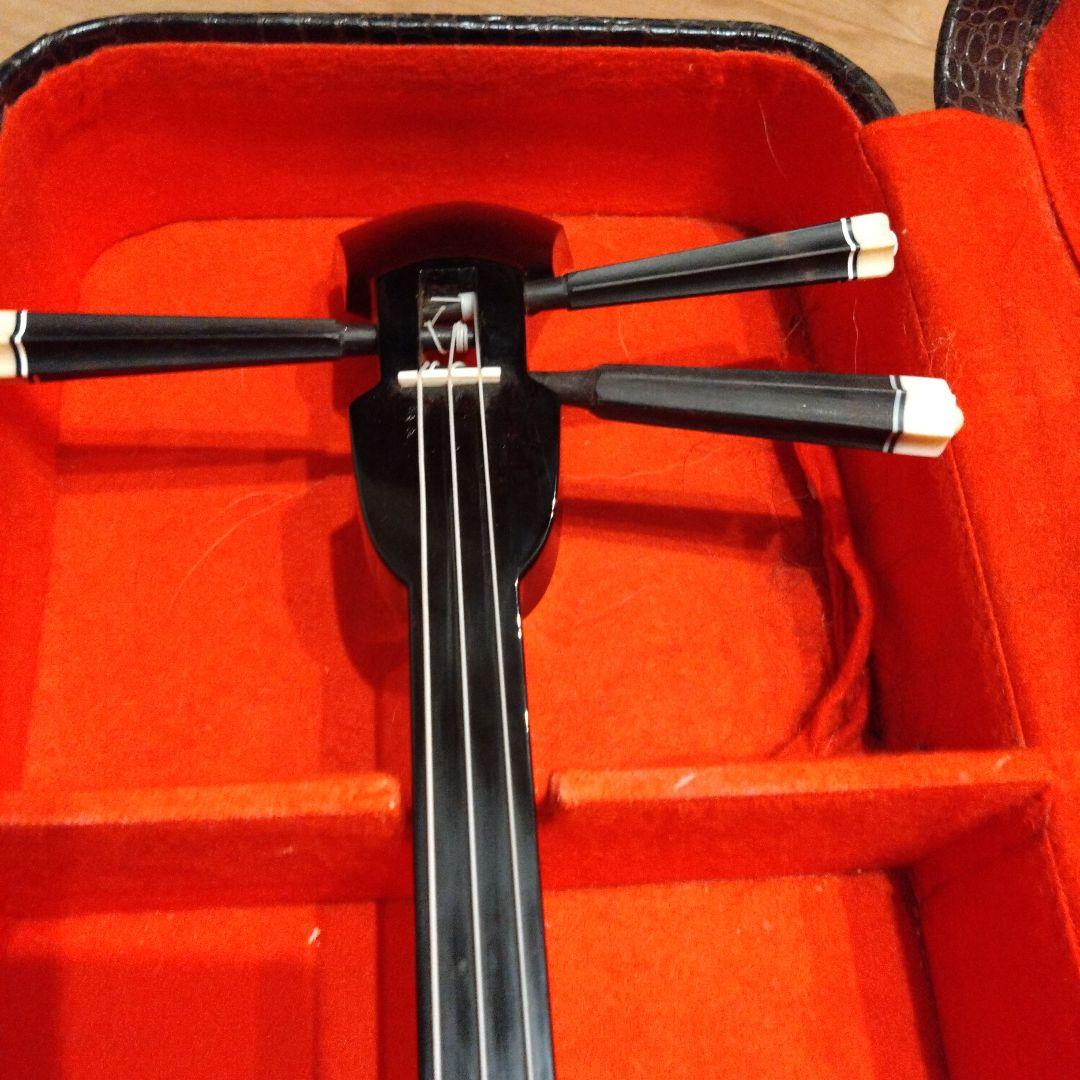 沖縄三線　蛇柄　人工皮　専用ハードケース付き