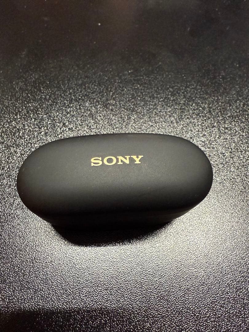 SONY WF-1000XM5 イヤーピースなし