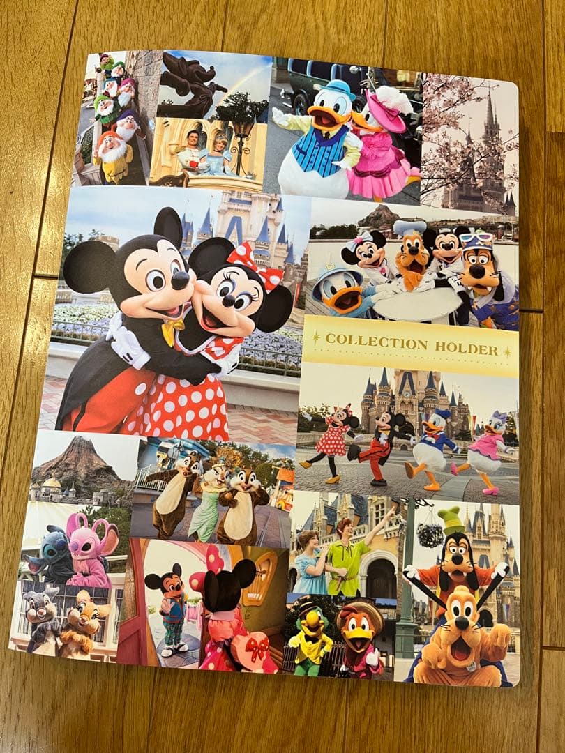 ディズニー　クリアファイル大量セット