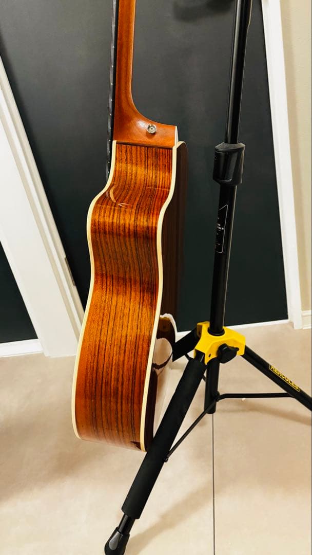 214ce DLX ES【Taylor】 アコースティックギター