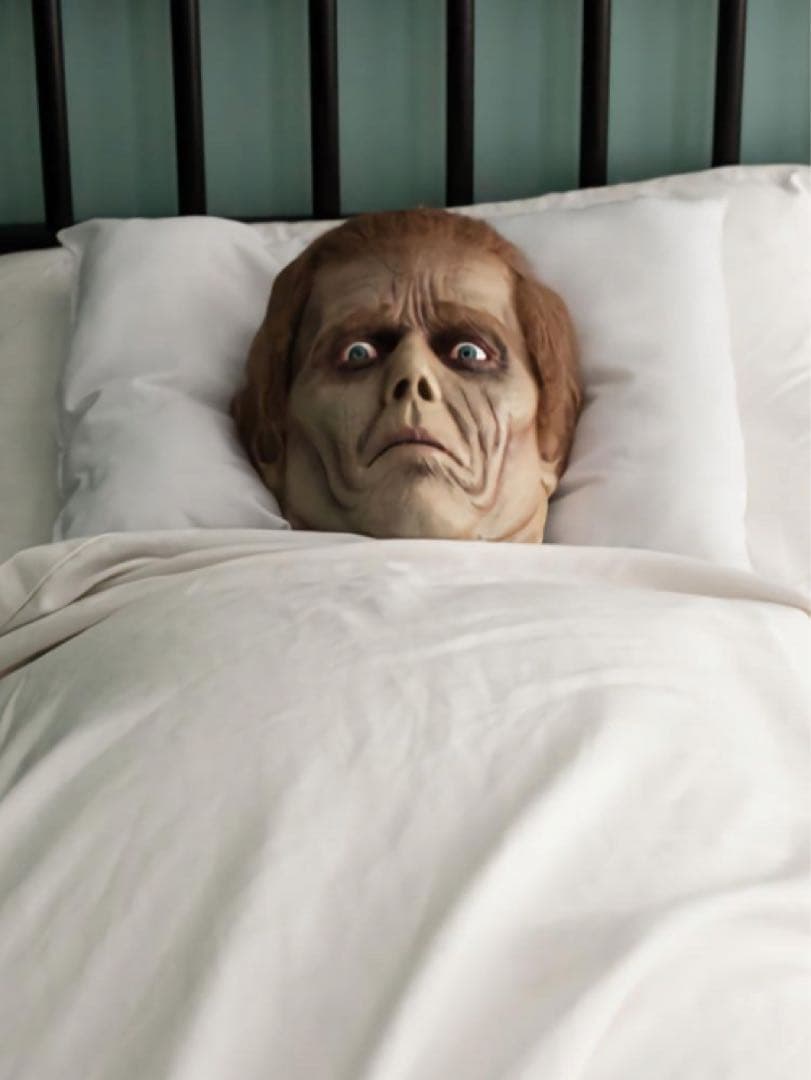 【新品】ゾンビ Dawn of the Dead ロジャー ピローアクセ