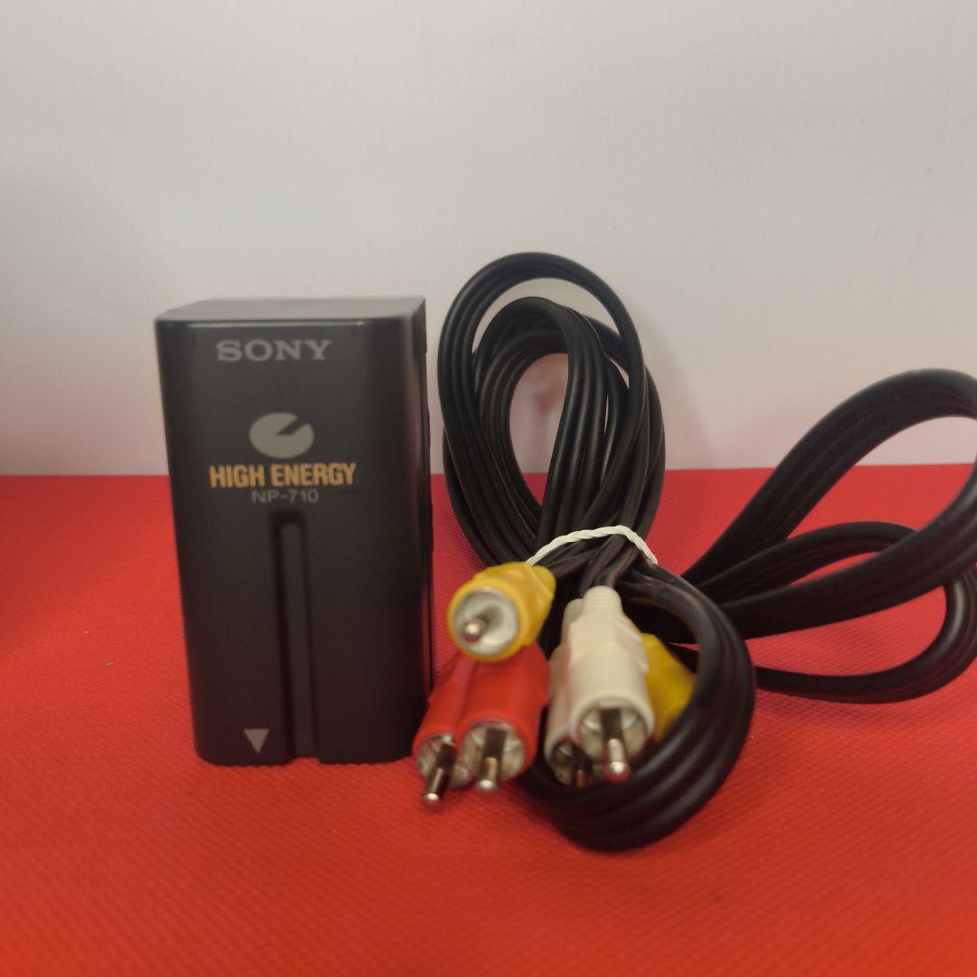 【動作確認済】SONY ソニー DCR-VX1000 Mini DV