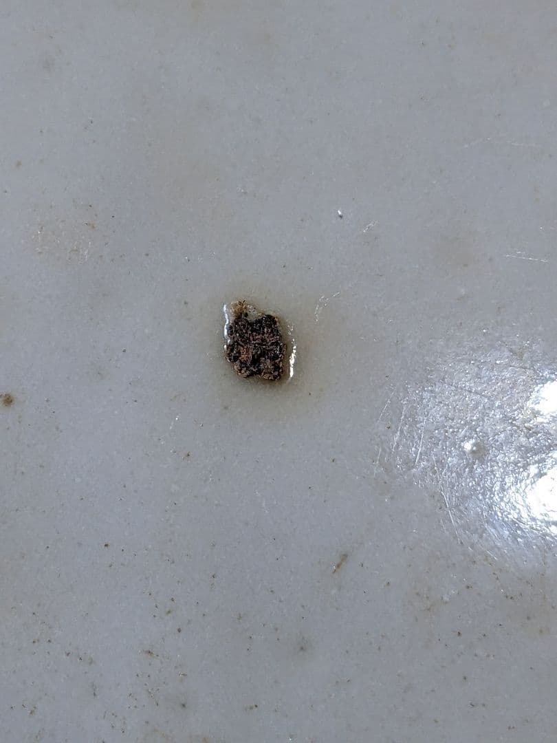 ♦中国陶磁器 呉須赤絵 明時代末〜清時代初期 福建省 漳州窯 古美術骨董品