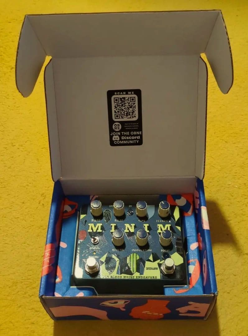 ギター OLD BLOOD NOISE ENDEAVORS MINIM