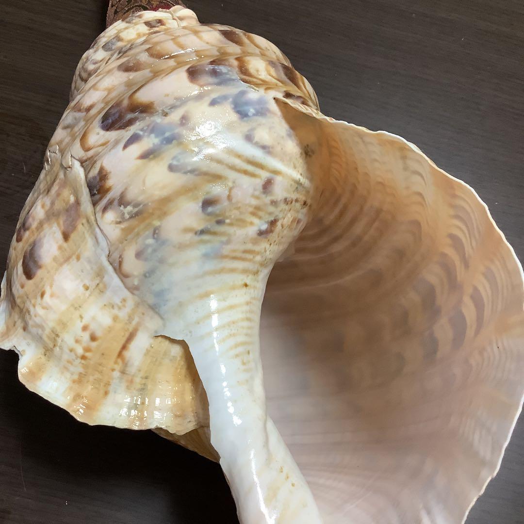 ヤフメリ27・法螺貝・山伏・修験者・戦国武将・縁起物・熊避・グレートトラバース