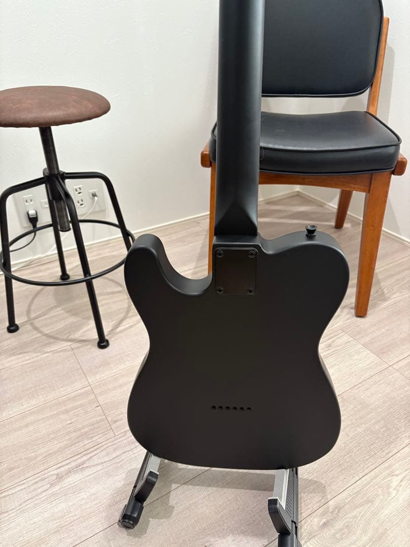 ポチョムキン　Harley Benton TE-20HH SBK