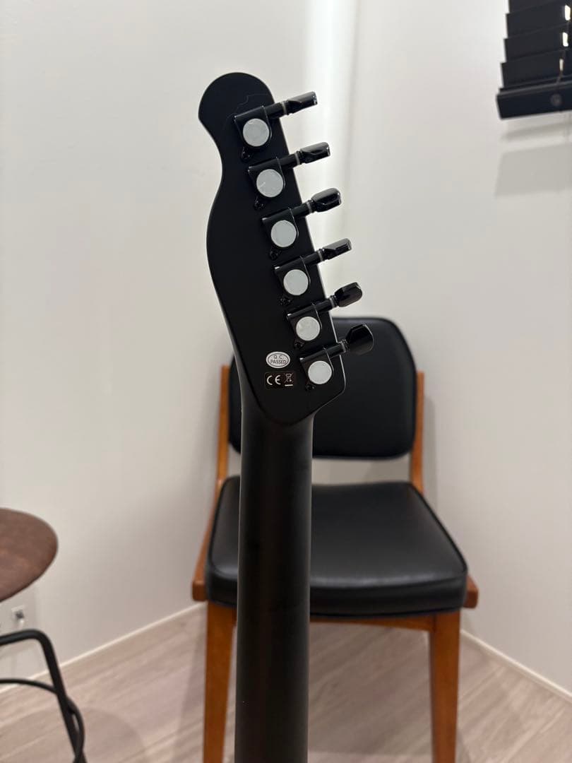 ポチョムキン　Harley Benton TE-20HH SBK