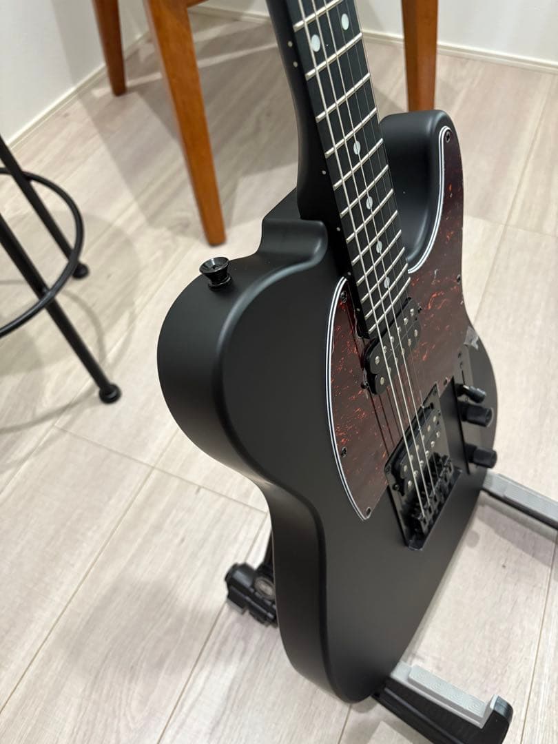 ポチョムキン　Harley Benton TE-20HH SBK