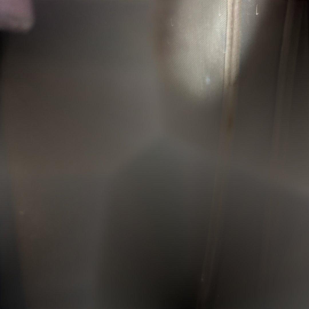 バッグ lady's bag loui vuilton