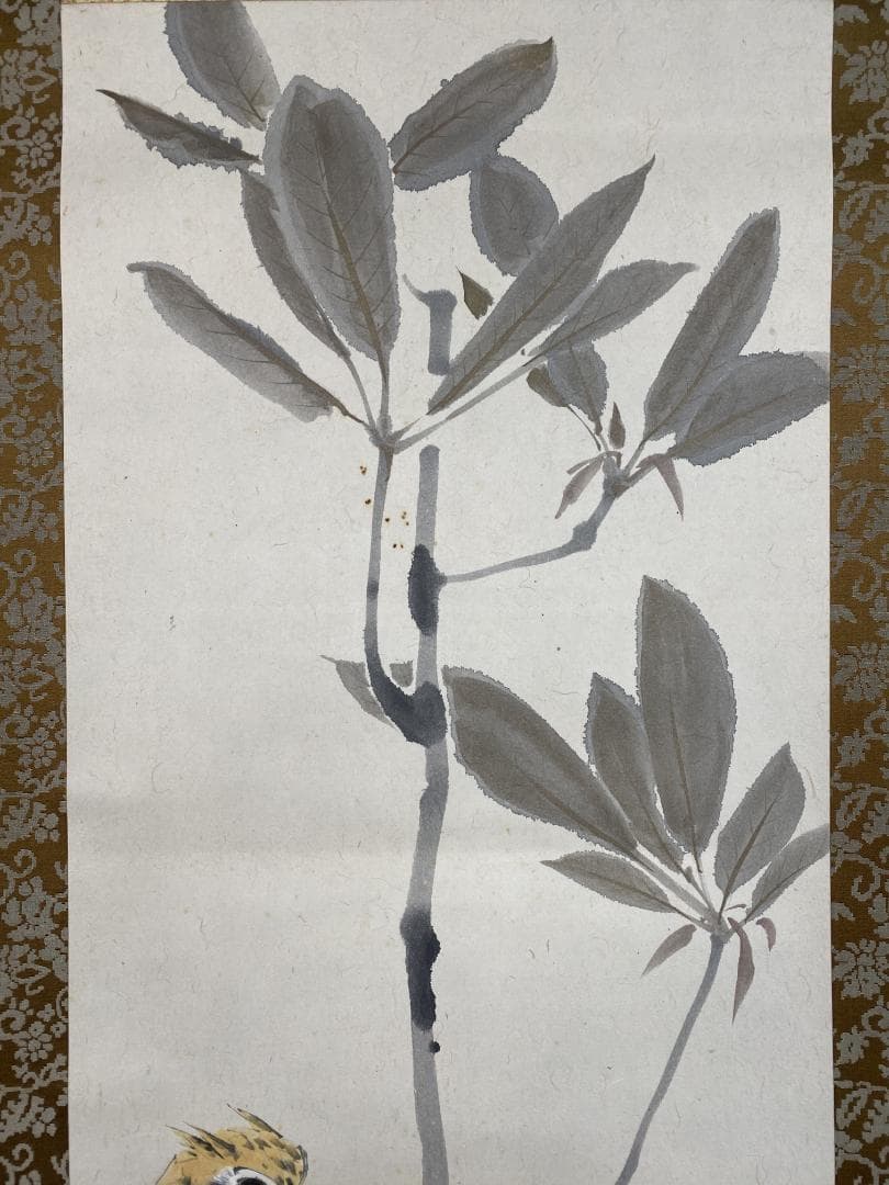 坂口一草 坂口一艸 朴若葉梟図 大阪生 中央美術 日本画院客員 青竜社結成 掛軸