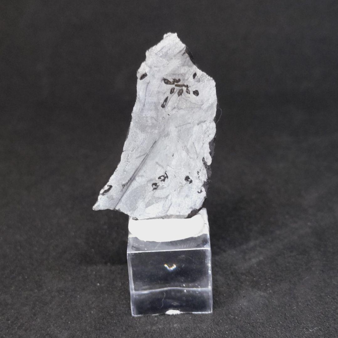 ギベオン隕石　(スライス)　6.78g