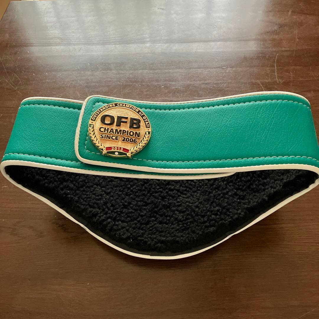 OFBチャンピオンベルト　ボクシング