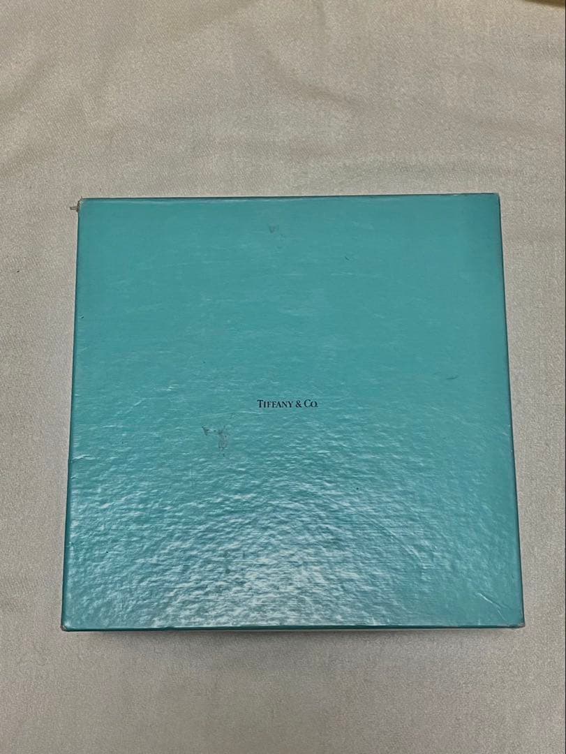 ティファニー　パーティーバッグ ゴールドチェーンつき