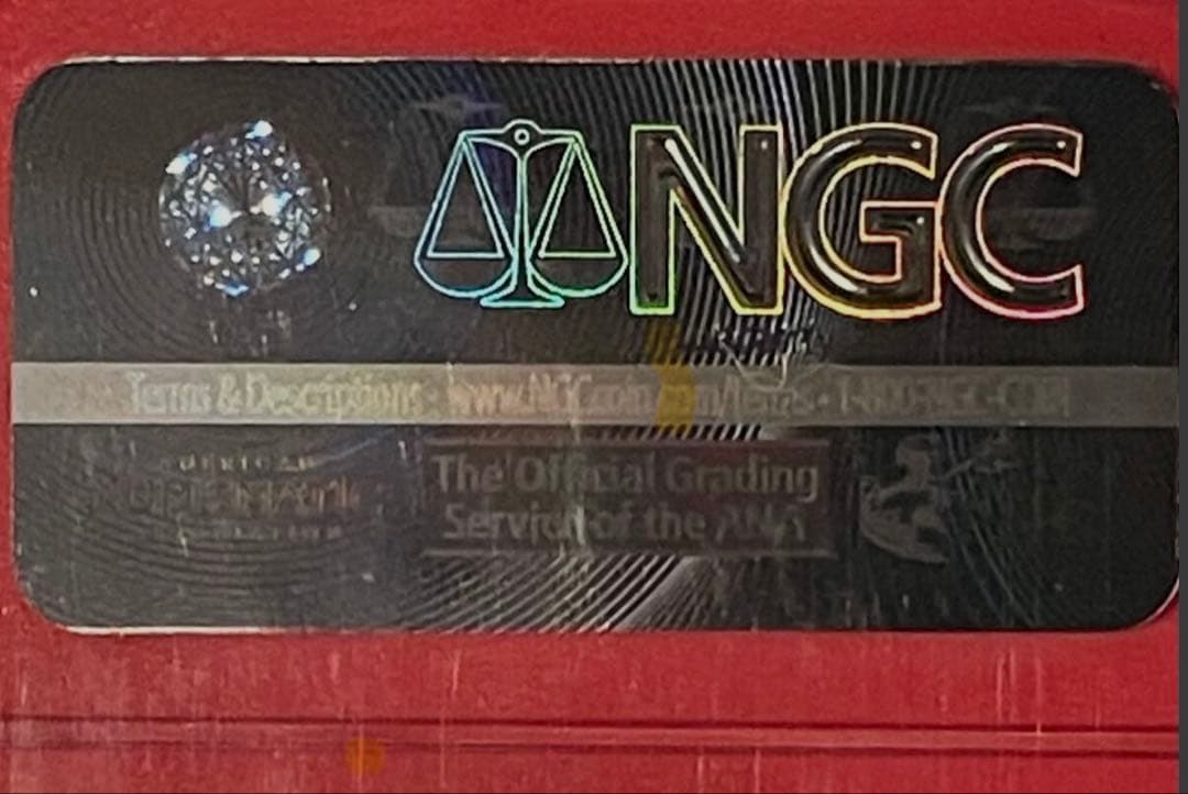 中国　パンダ銀貨　10元　2017年　NGC MS70 カンフーパンダ３