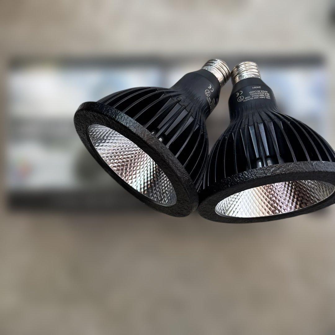 ネオアマテラスLED2個SET 【NEOAMATERASLED】