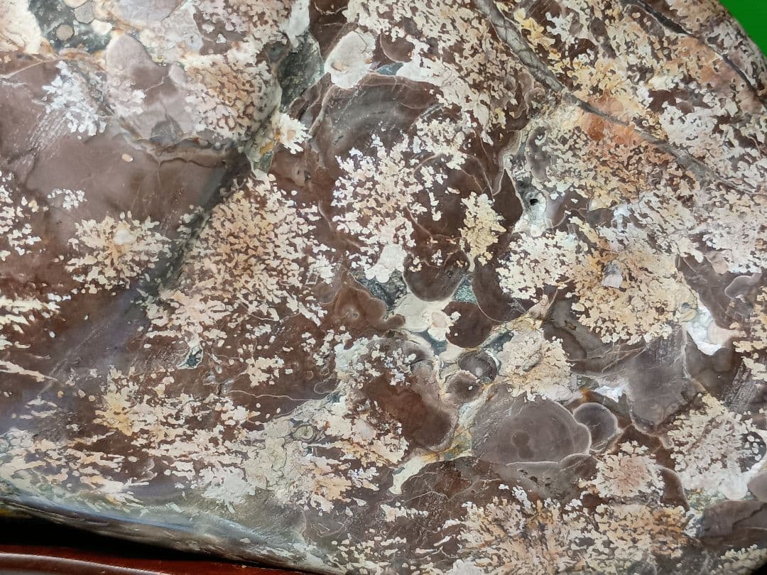 （b-68）白山紋石（参考）