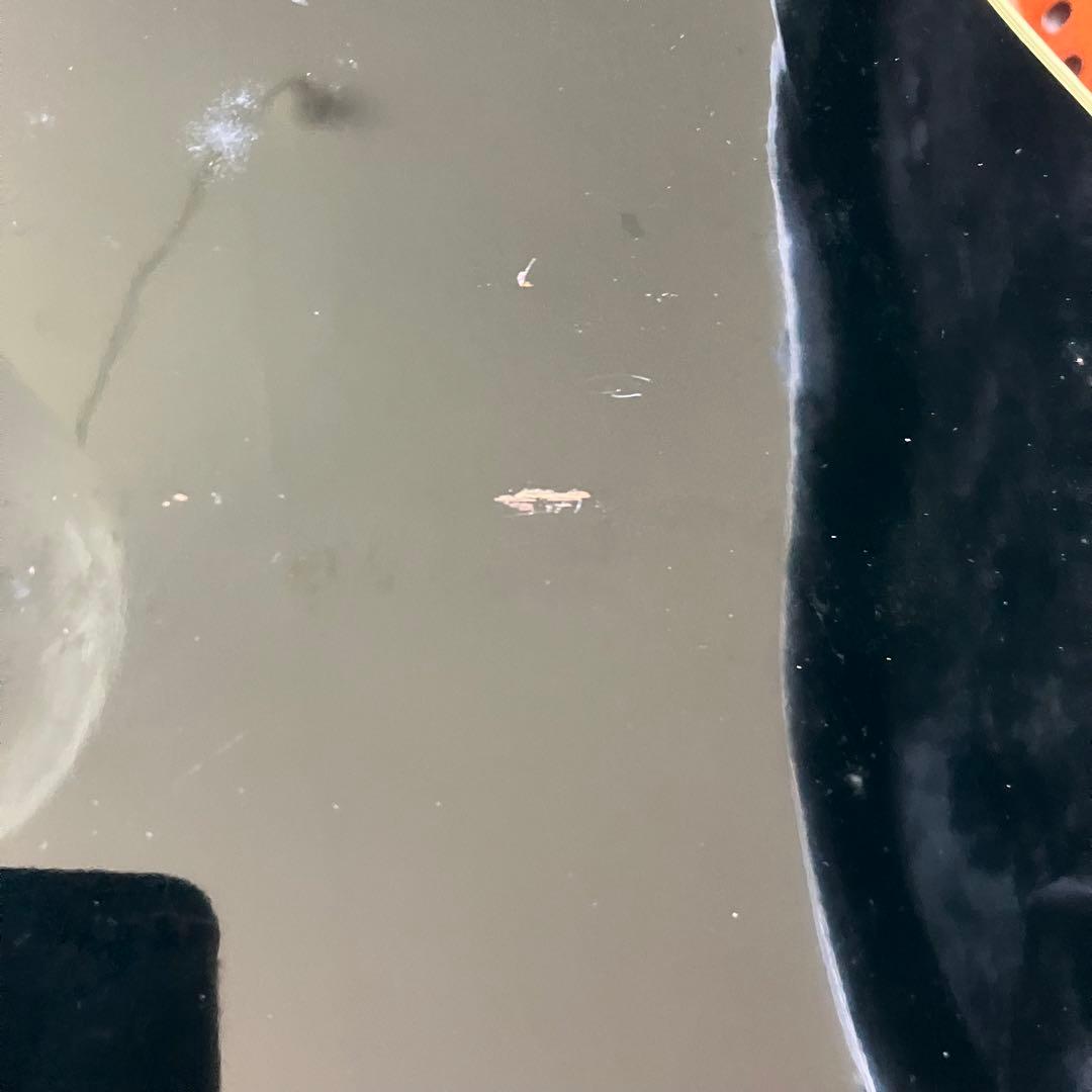 グラスルーツ レスポールカスタム(ハードケース付き)