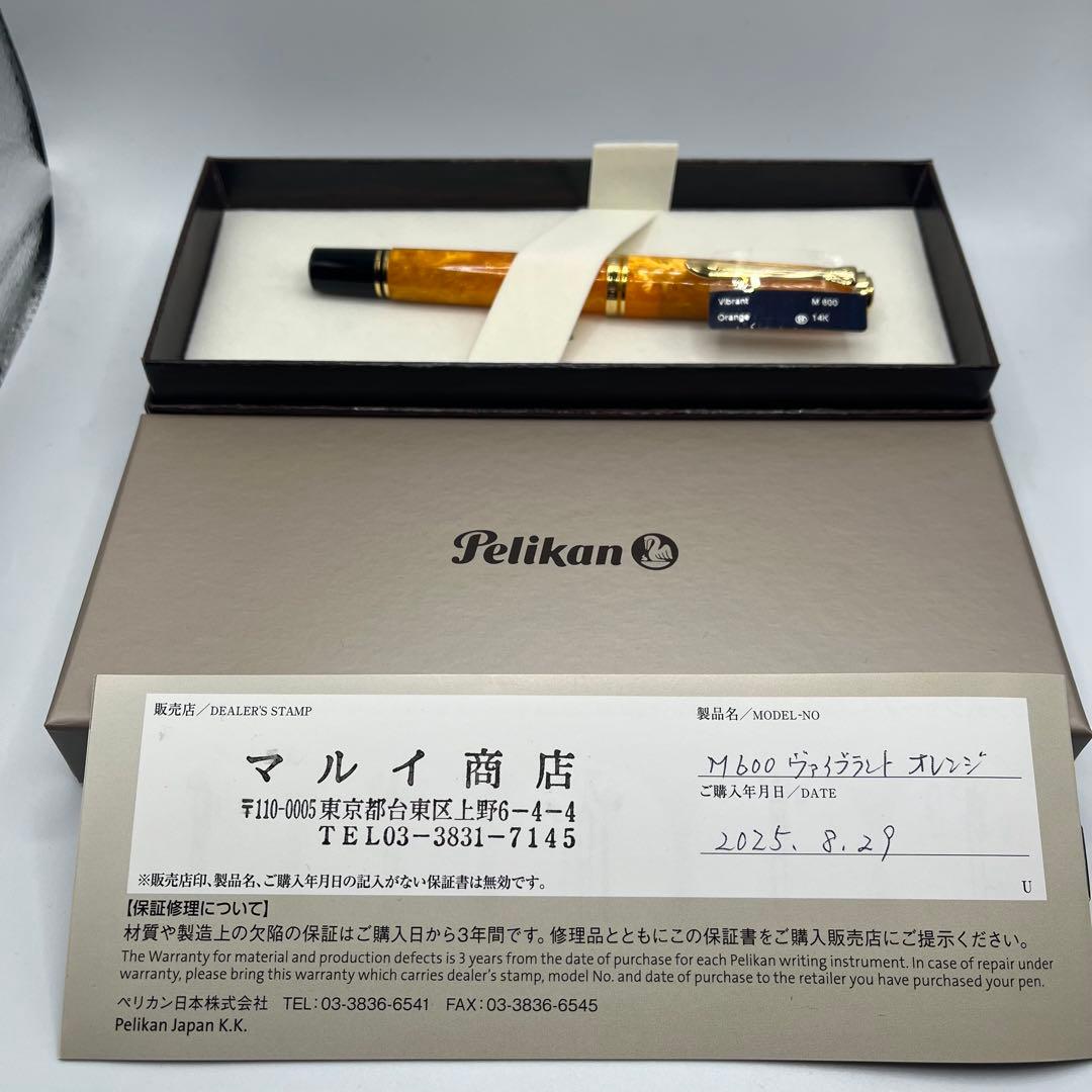 Pelikan ペリカン 万年筆 限定 スーベレーン M600 EF オレンジ