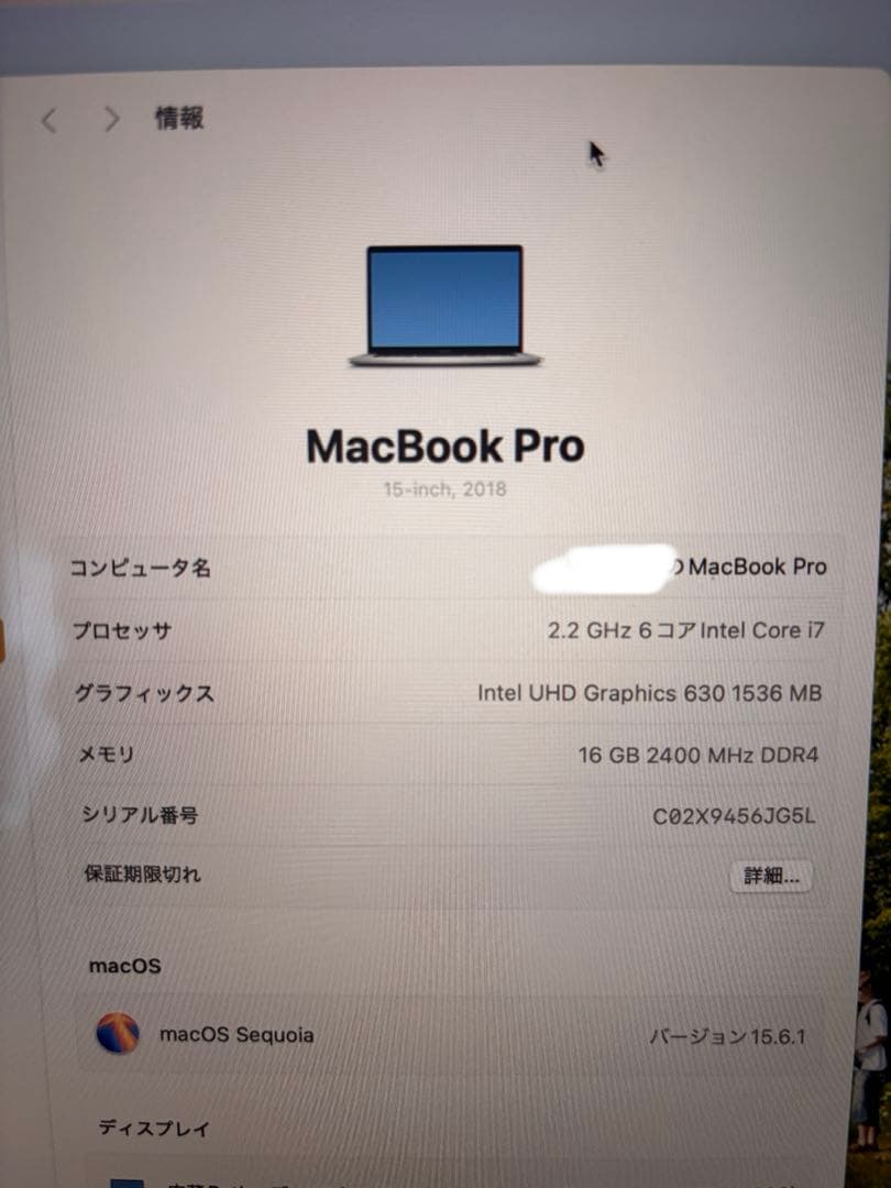 【ジャンク】2018 MacBookPro 15インチ 16GB/256GB