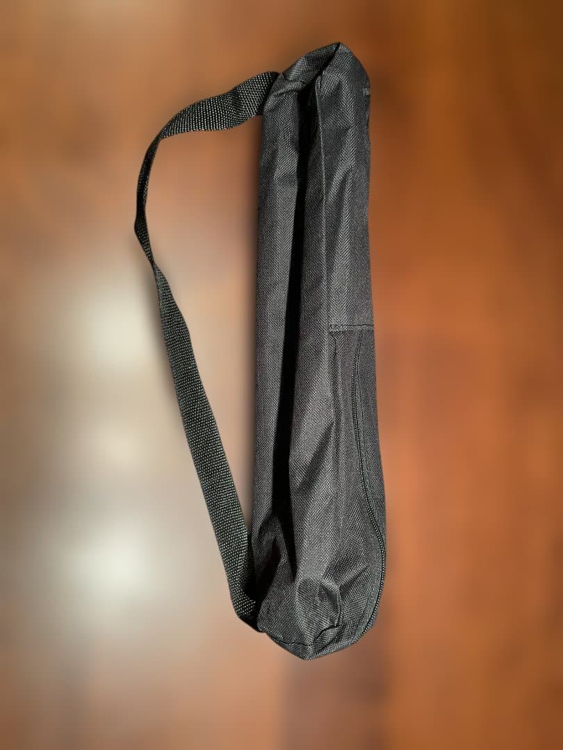 【値引中】SONY FDR-AX45 本体 + 三脚 + バッグ + SDカード