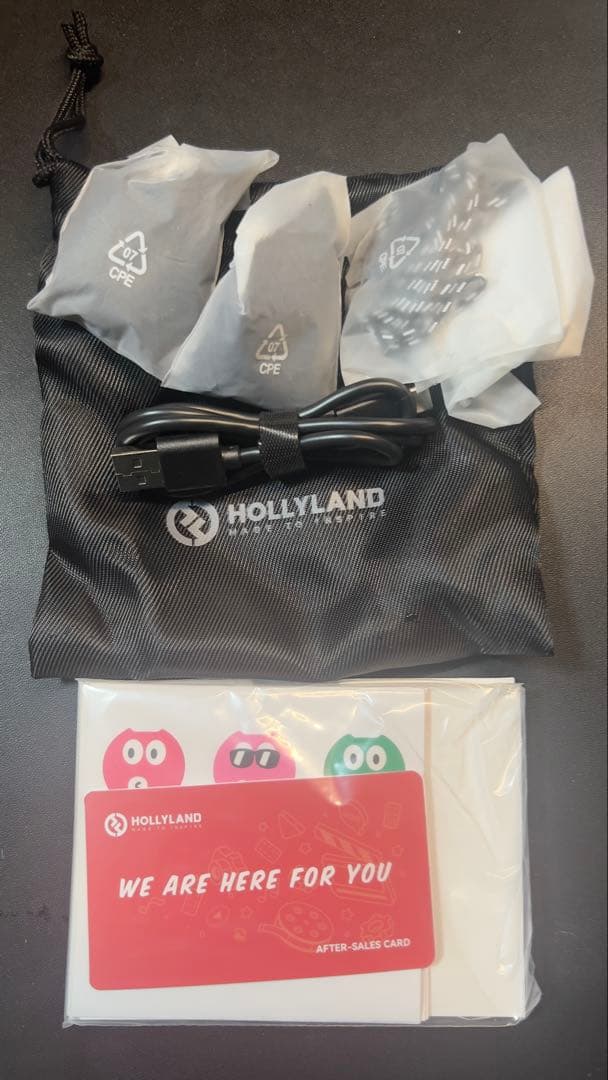 Hollyland Lark M2 ワイヤレスマイク USB Type-C