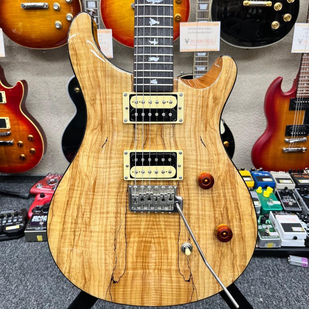 【10967】PRS SE CUSTOM 24 SPALTED MAPLE