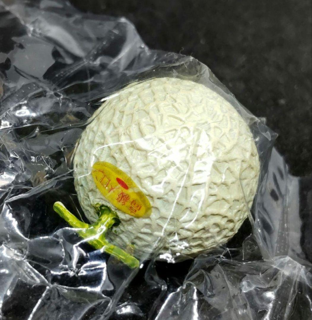 リーメント　ぷちやおやさん　⑨お見舞いにどう？♡