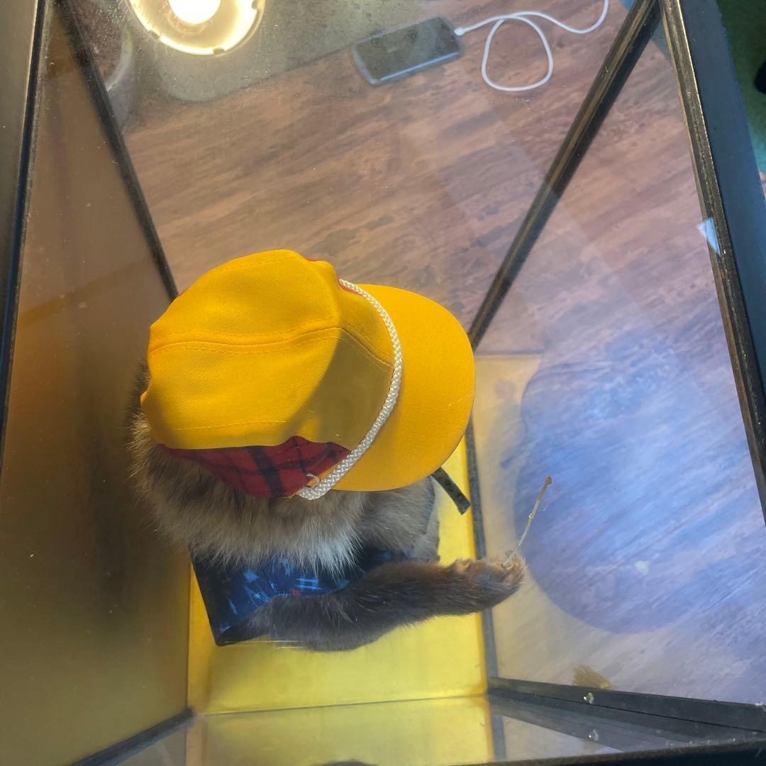 釣り師狸（タヌキ）置物/ たぬきの剥製