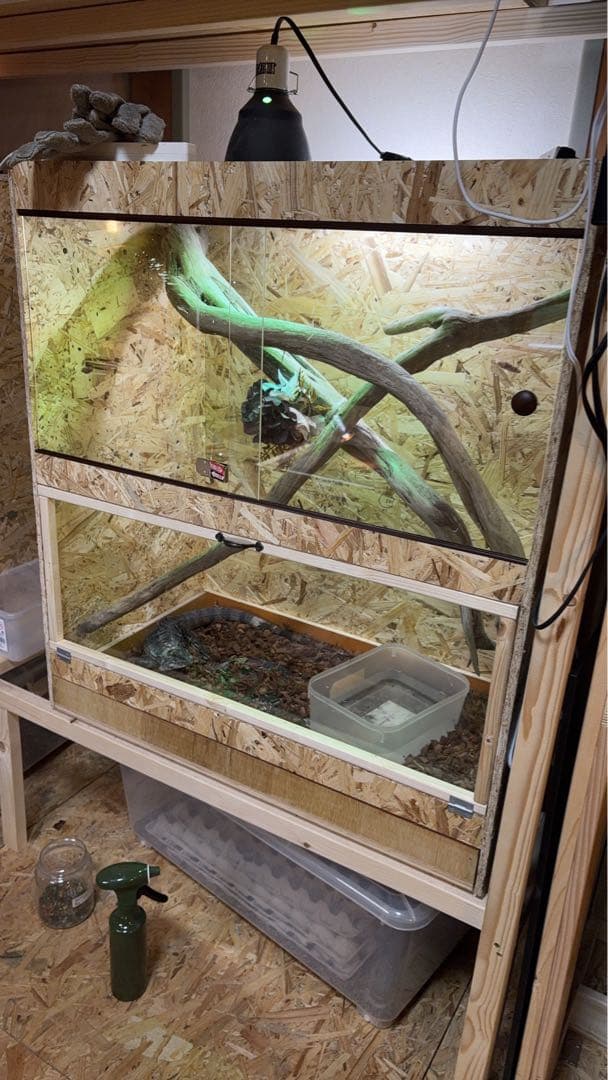 爬虫類ケージ　60×30×30 サイドアクリルタイプ　爬虫類　ケージ ペット