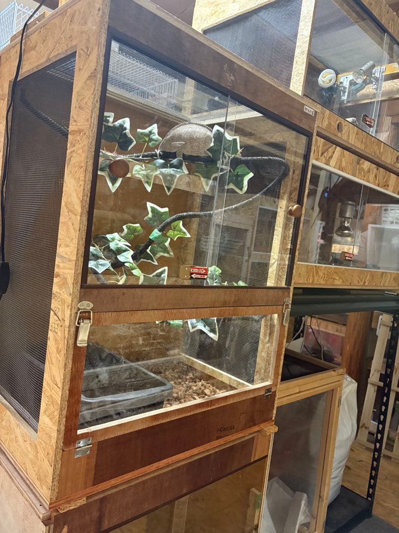 爬虫類ケージ　60×30×30 サイドアクリルタイプ　爬虫類　ケージ ペット