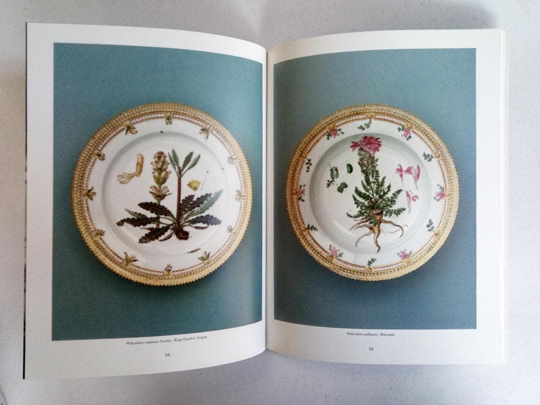 FLORA DANICA　デンマークのボタニカル細密画の世界　1990年代