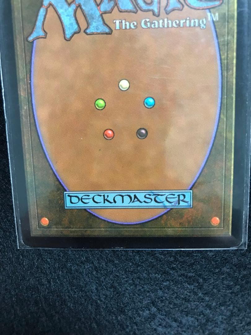 セラの聖域　Serra's Sanctum