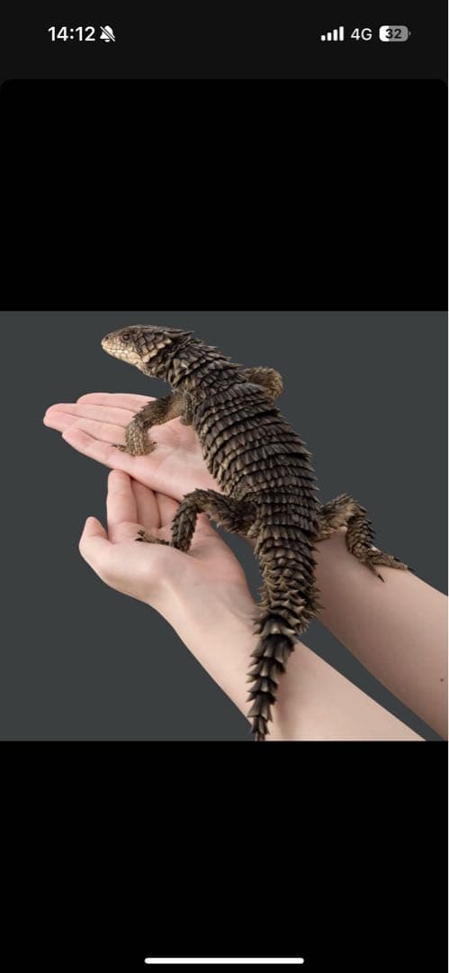 最安値　いきもの大図鑑アルティメット オオヨロイトカゲ 新品未開封 ❶