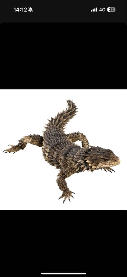最安値　いきもの大図鑑アルティメット オオヨロイトカゲ 新品未開封 ❶