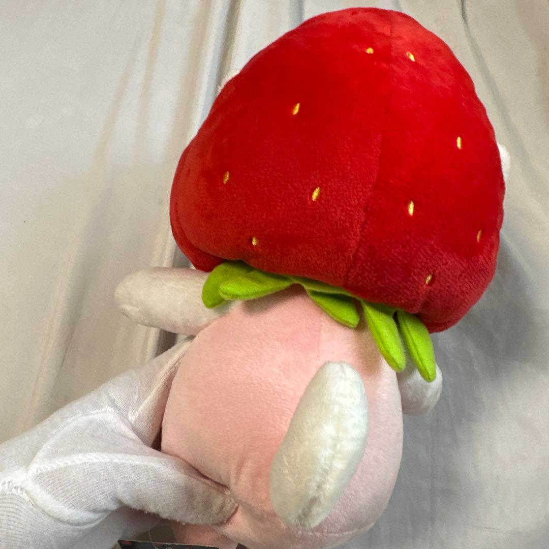 希少　choo choo ぬいぐるみ Mサイズ いちご　猫