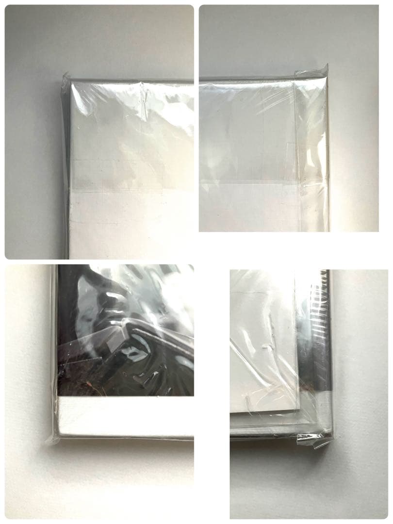 【DVDつき】新品・未使用　チチャンウク　写真集　#133　지창욱 池昌旭