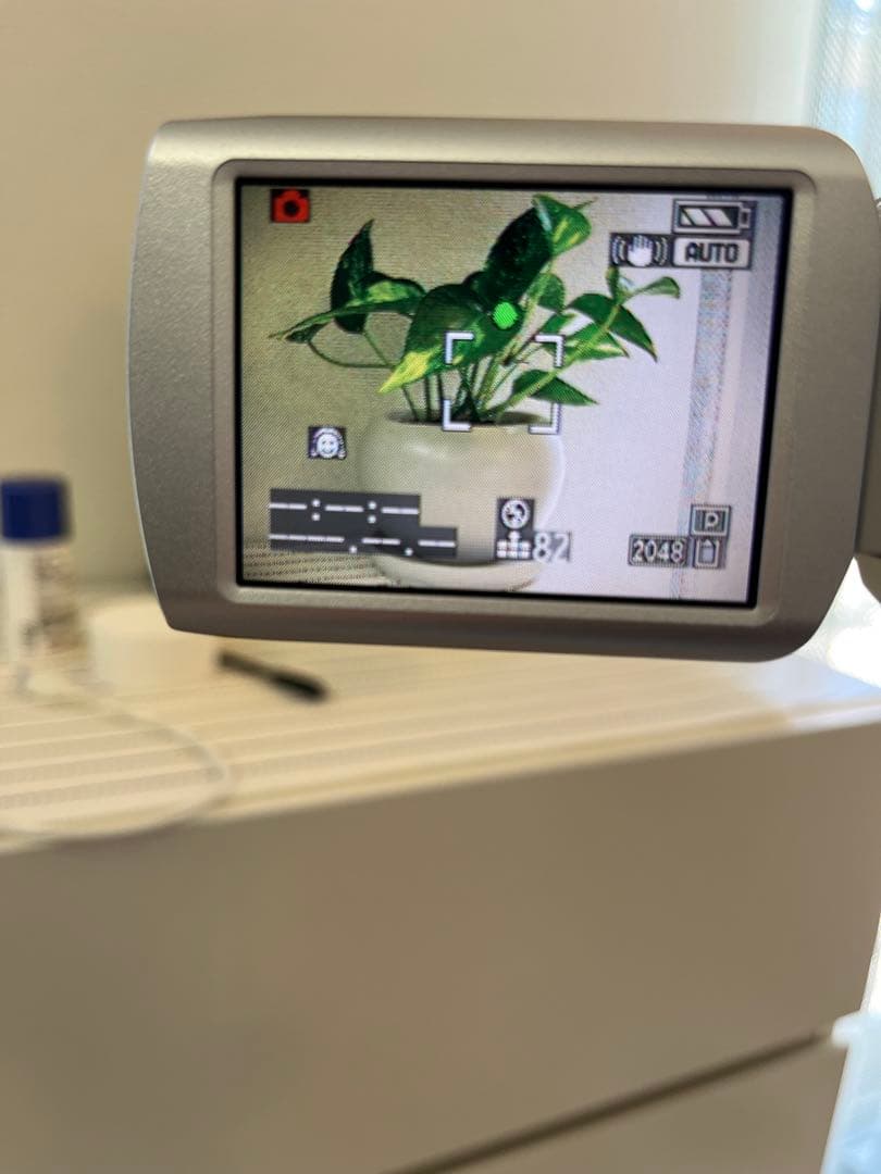 Panasonic NV-GS250 ビデオカメラ 3.1メガピクセル　おまけ付