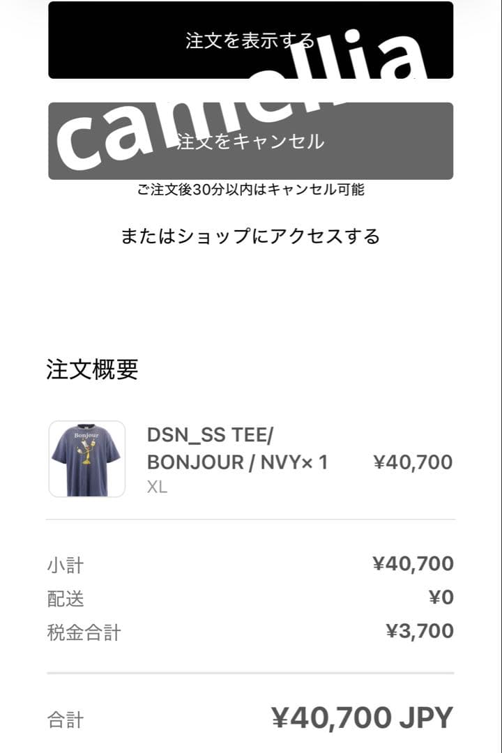 saint mxxxxxx BONJOUR DSN_SS TEE セントマイケル