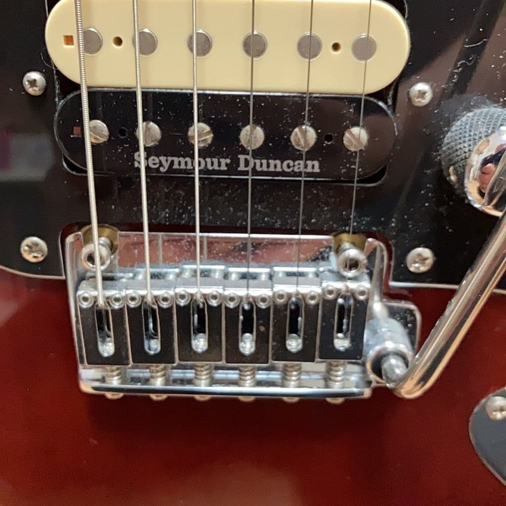 Bucchus グローバルシリーズ