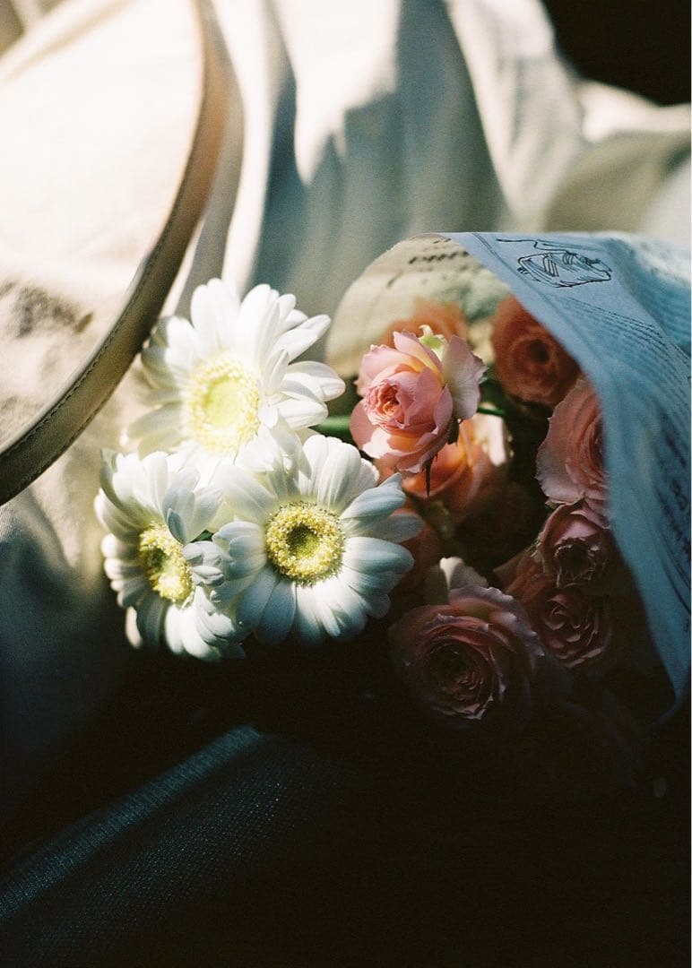 NIKON F6 ＋ AF NIKKOR 50mm f1.8D