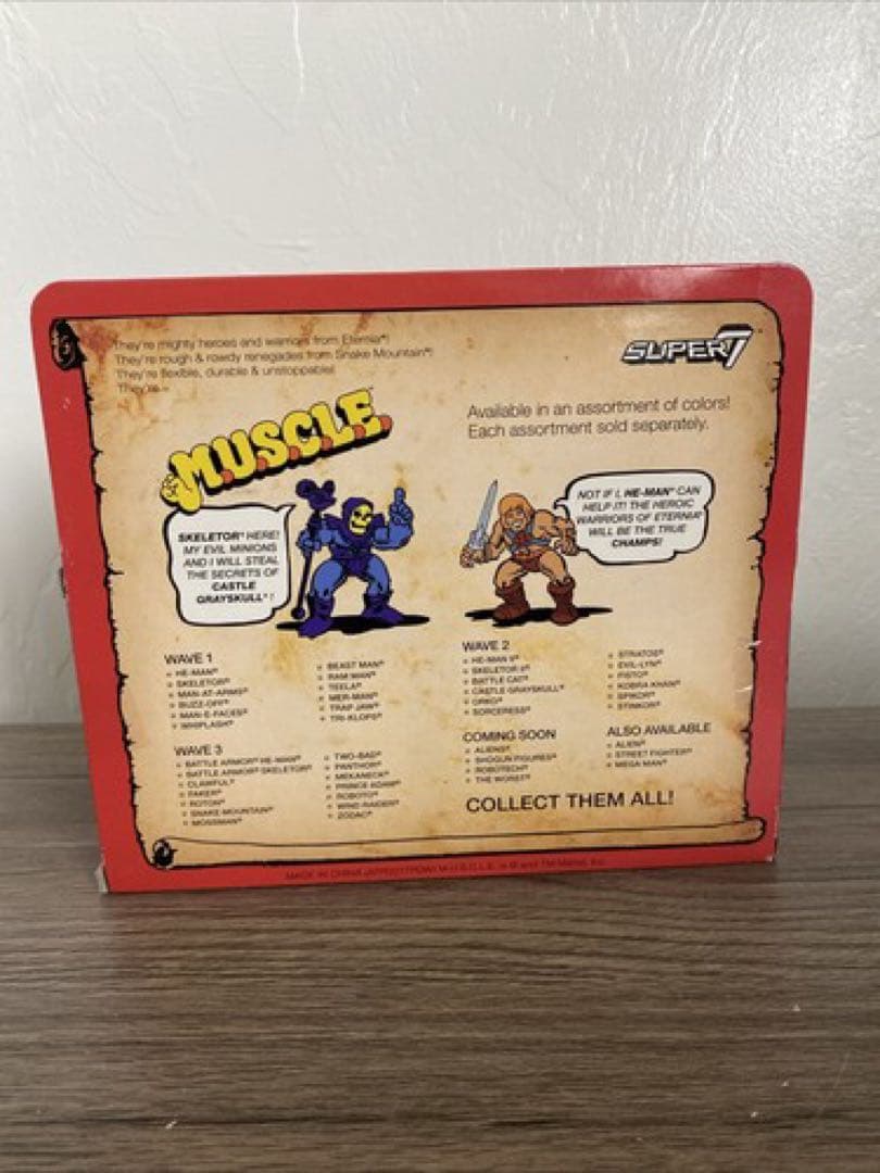 日本未発売Masters of the Universe マスターズキン消し