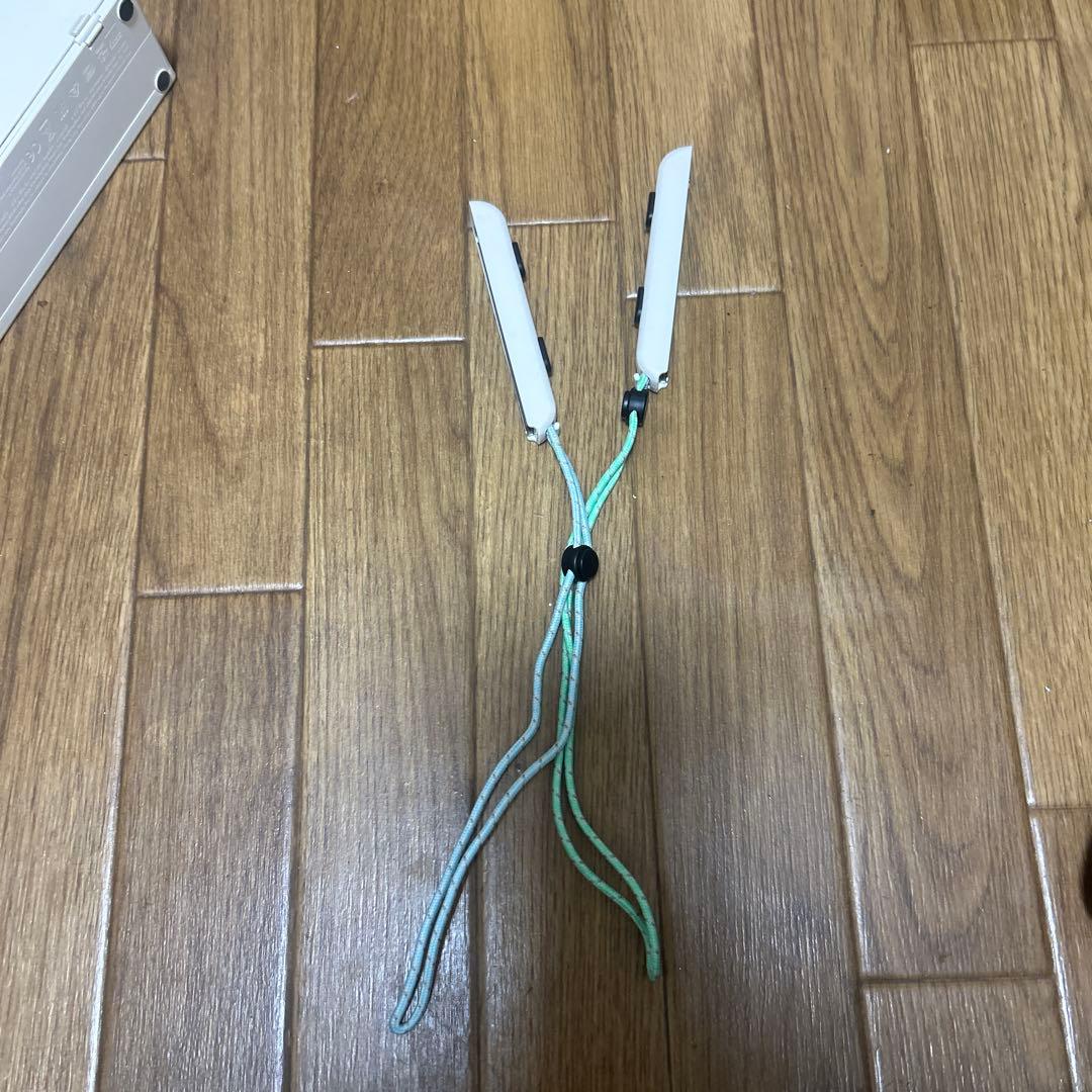 Nintendo Switch あつまれどうぶつの森版 本体セット