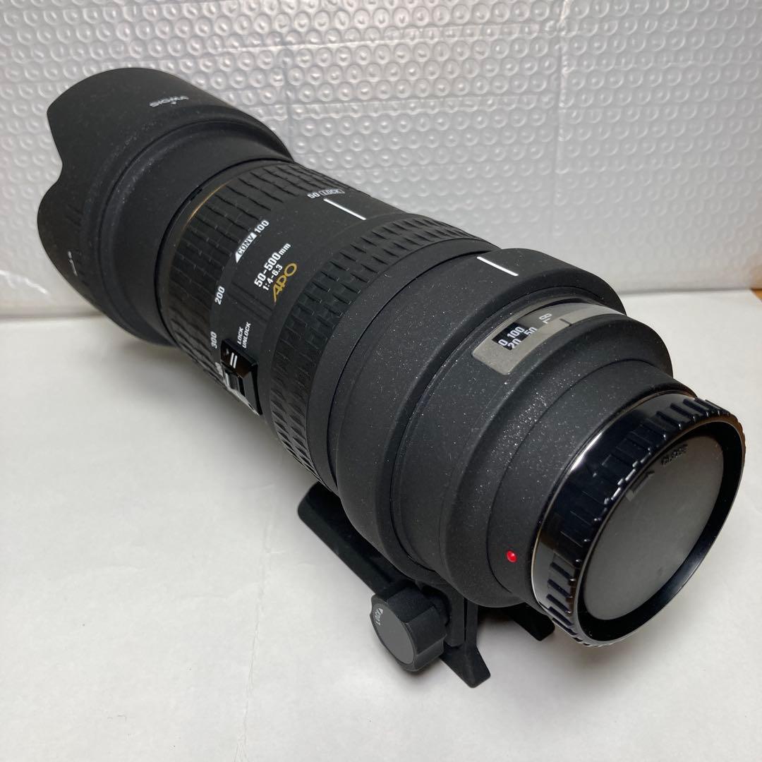 SIGMA APO 50-500mm F4-6.3 EX SONY用