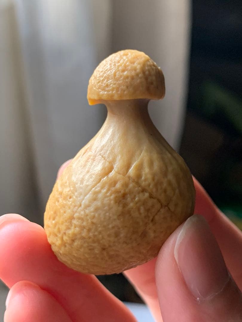 アラシャンゴビアゲート　蒙古瑪瑙　原石　水石　翡翠　オパール　根付　天珠 翡翠