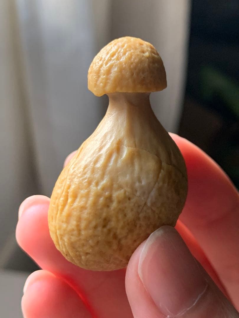 アラシャンゴビアゲート　蒙古瑪瑙　原石　水石　翡翠　オパール　根付　天珠 翡翠