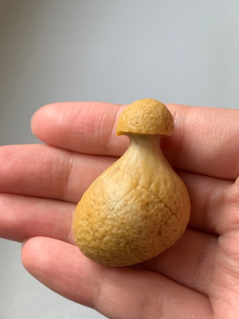 アラシャンゴビアゲート　蒙古瑪瑙　原石　水石　翡翠　オパール　根付　天珠 翡翠